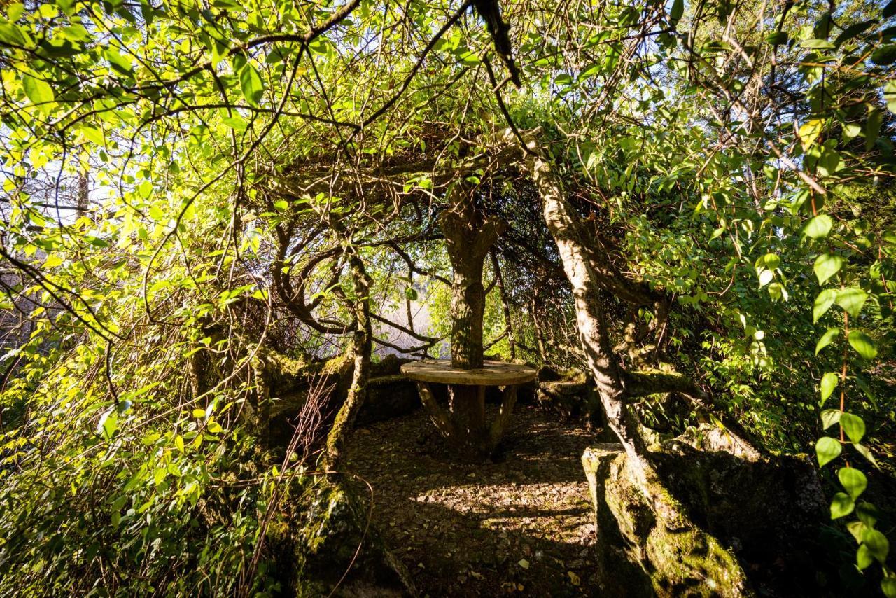 The Grove Houses Guimaraes Ngoại thất bức ảnh